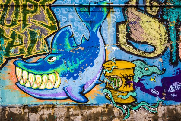 Wall Mural Installation